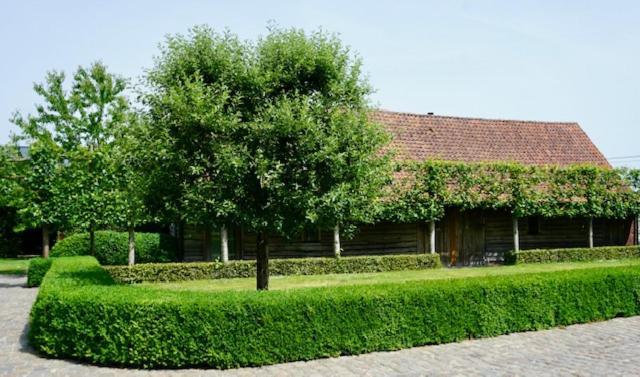 B&B De Hulst Izegem Exterior photo